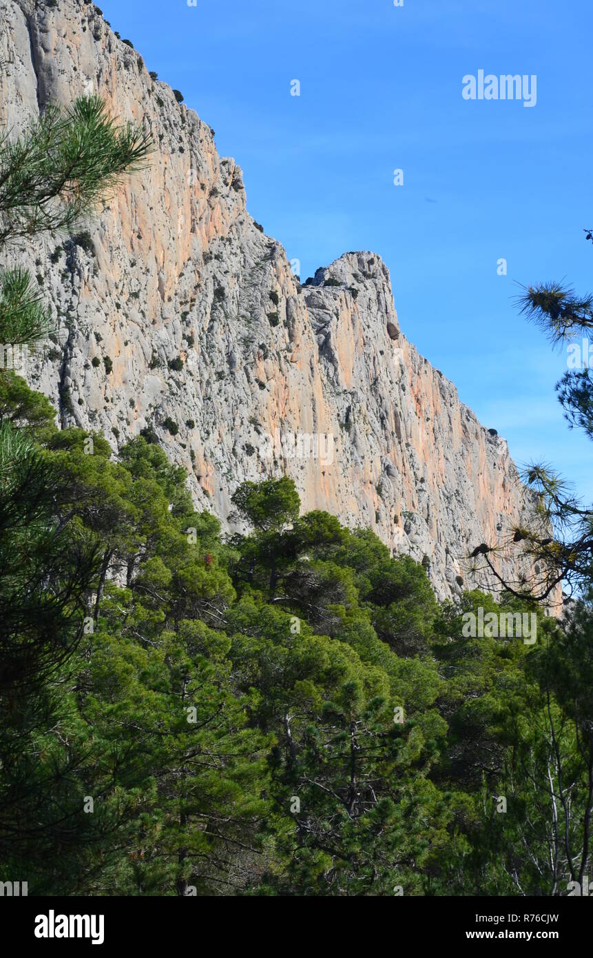 Leiva (oder Leyva) Valley Kalkfelsen, Sierra Espuña massiv, Murcia (süd-östlichen Spanien) Stockfoto