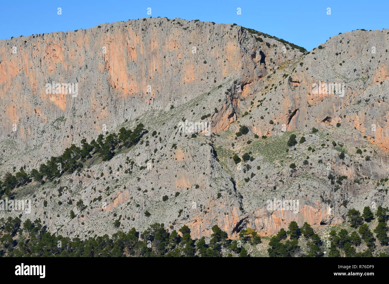 Leiva (oder Leyva) Valley Kalkfelsen, Sierra Espuña massiv, Murcia (süd-östlichen Spanien) Stockfoto