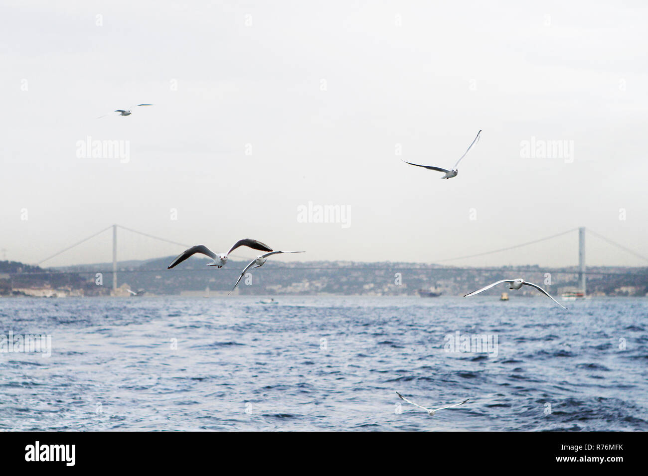 Bosporus Stockfoto