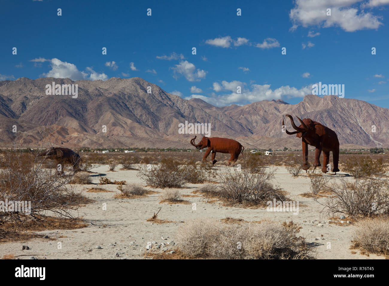 Elefant Stahl Skulpturen in Galleta Meadows in den Borrego Springs, CA Stockfoto