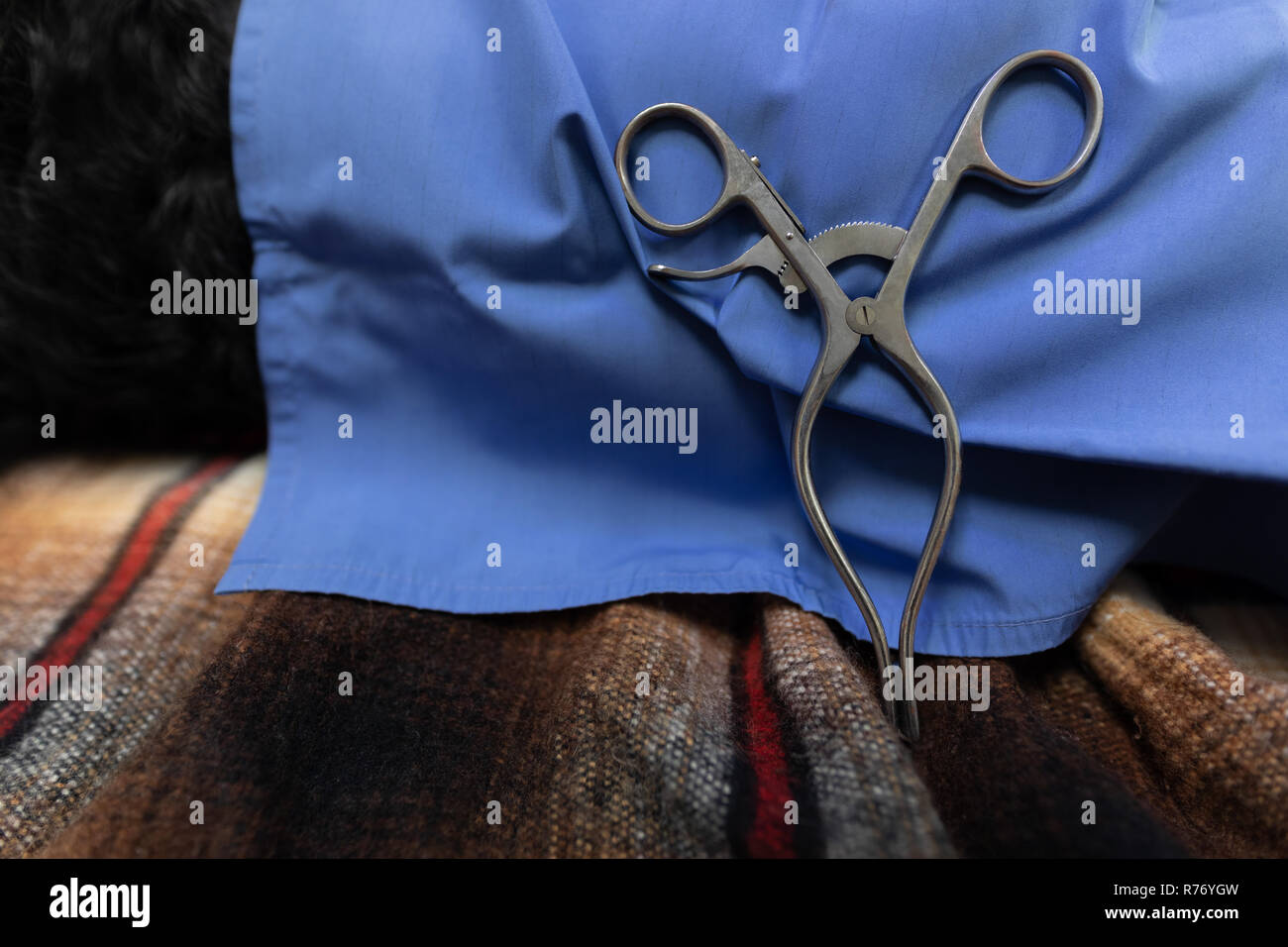 Chirurgische Scheren und medizinische Tuch auf einen Hund gehalten Stockfoto