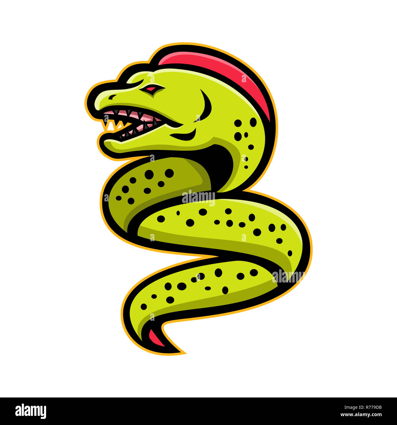 Muränen Sport Maskottchen Stockfoto