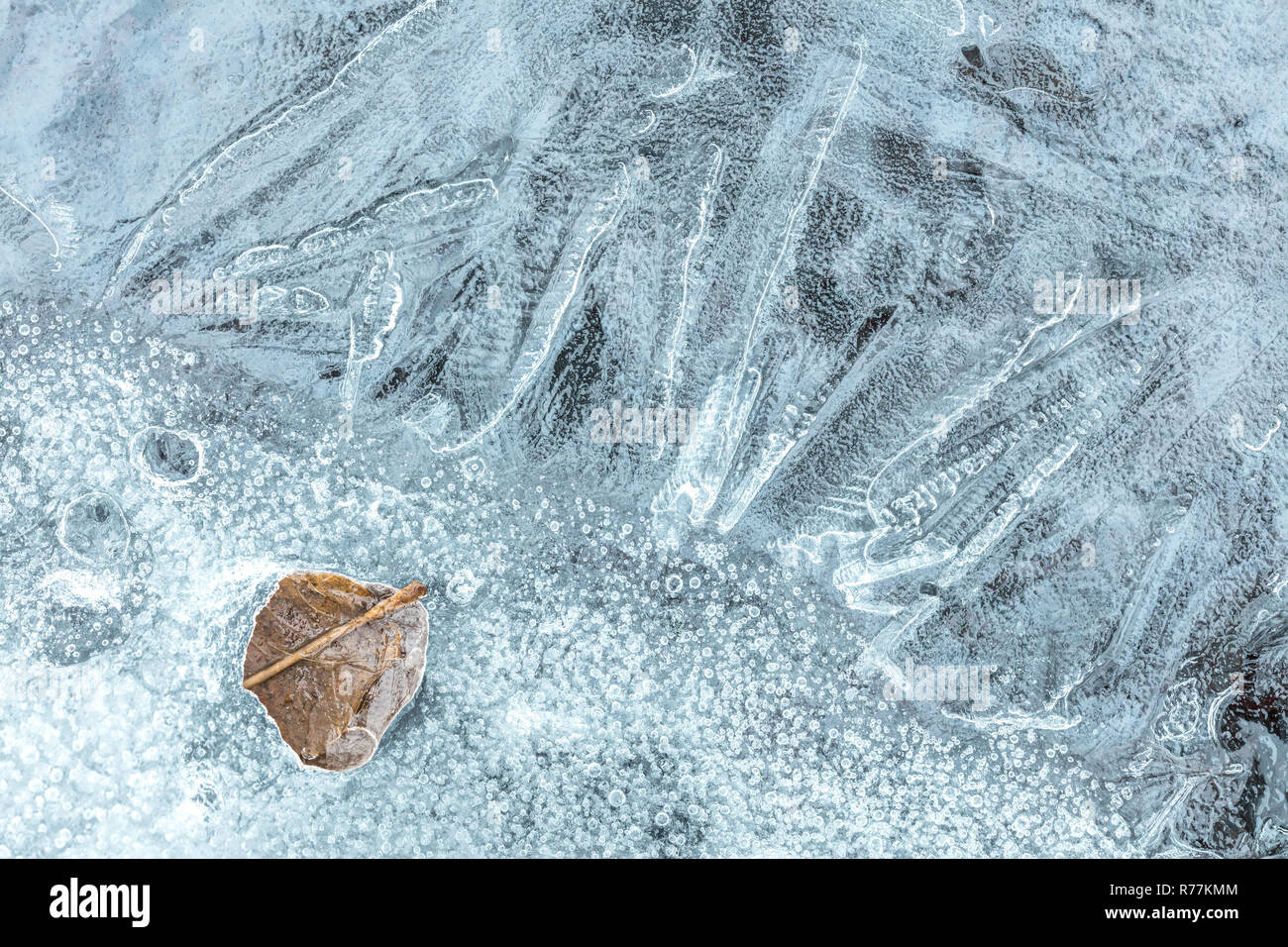 Eisblumen auf Eis. Fluss bedeckt mit Eis. Textur Hintergrund Stockfoto