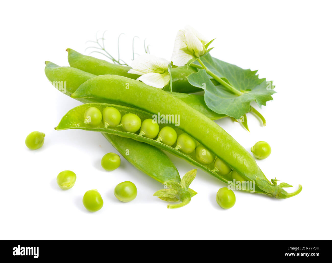 Pea pods isoliert Stockfoto