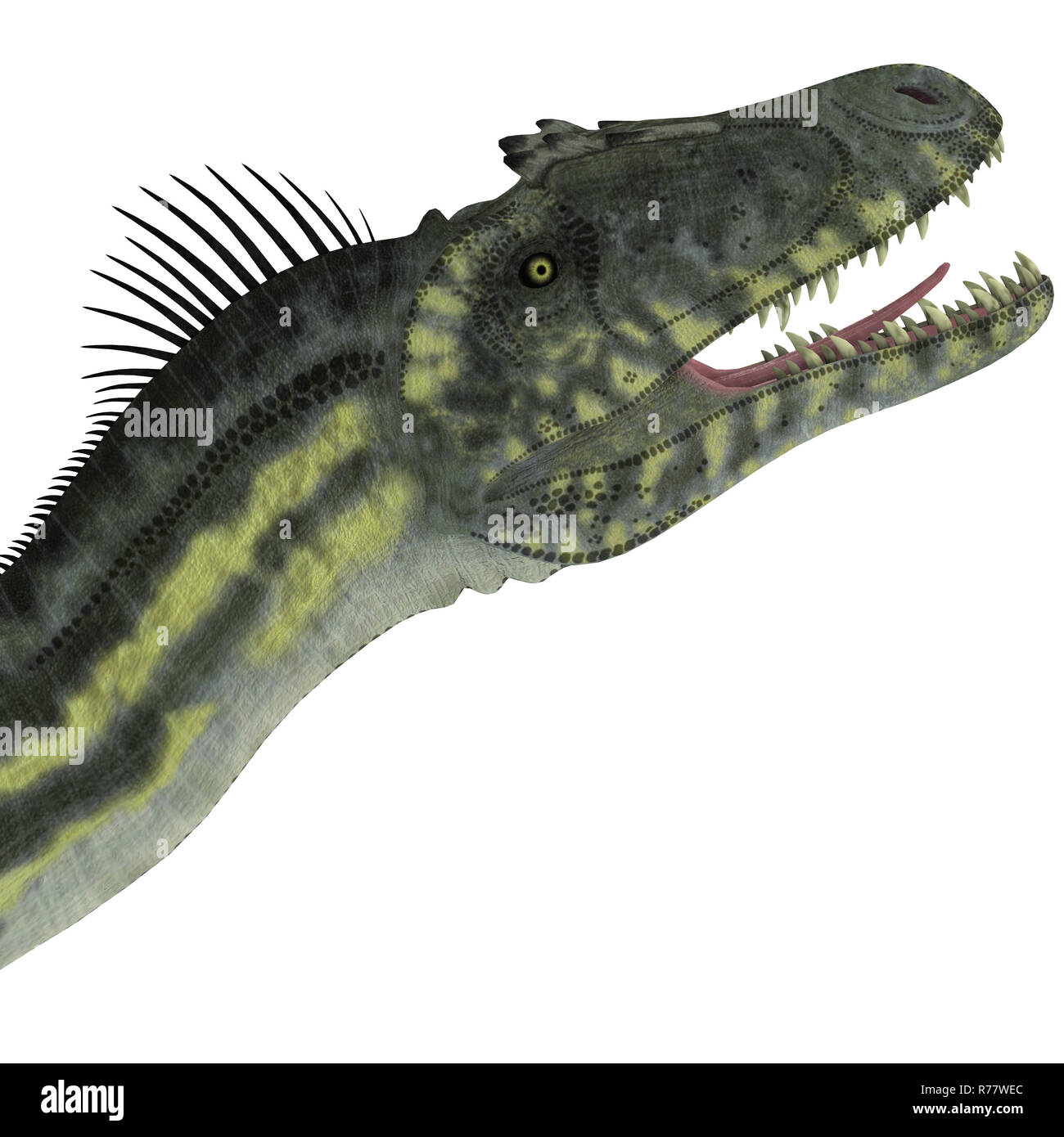 Deltadromeus Dinosaurier Kopf Stockfoto