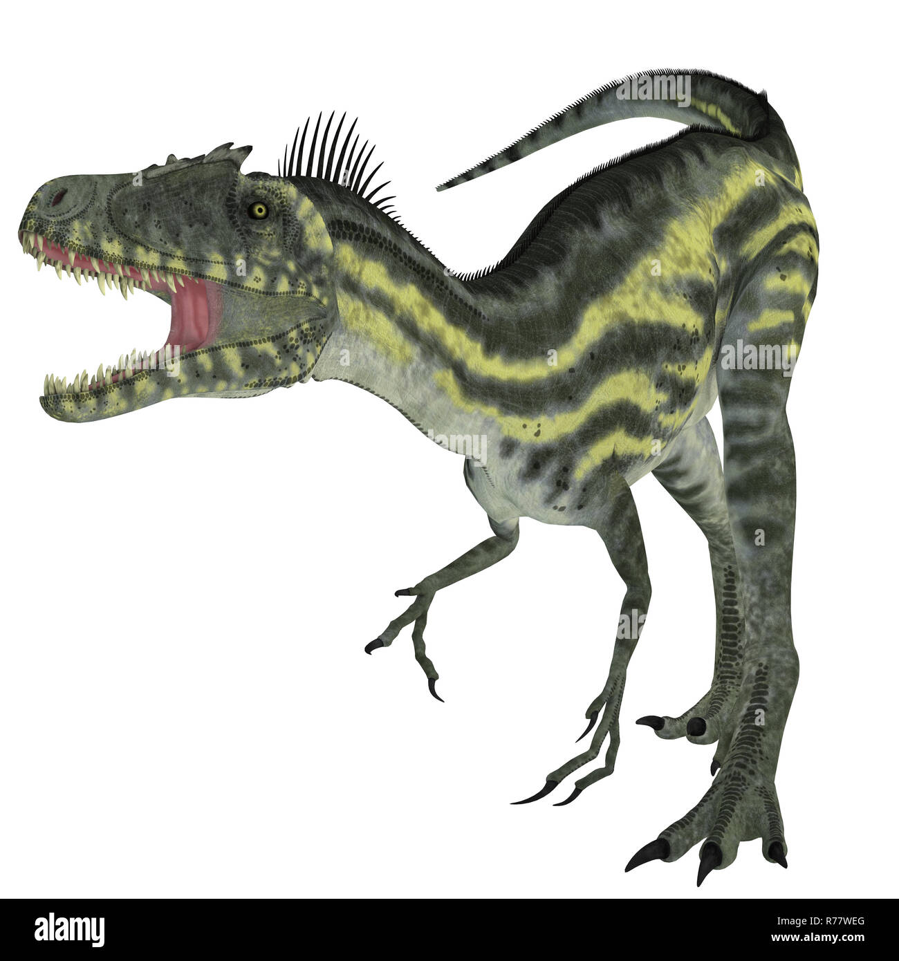 Deltadromeus auf Weiß Stockfoto