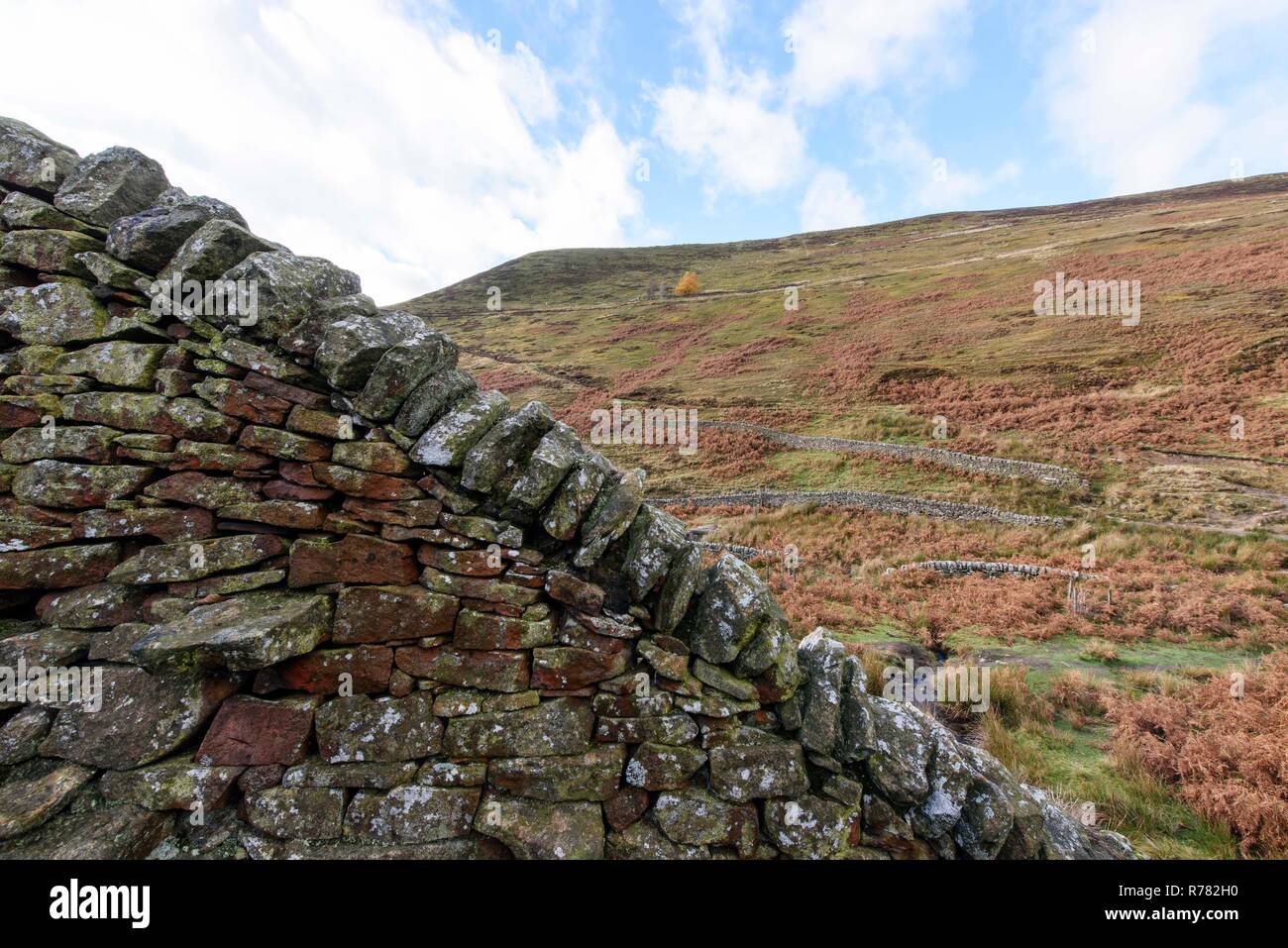 Trockenmauer im Peak District, Cheshire, England. Stockfoto