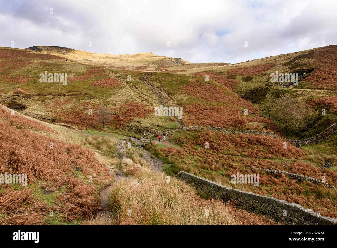 Kinder Scout, Peak District, Cheshire, England Stockfoto