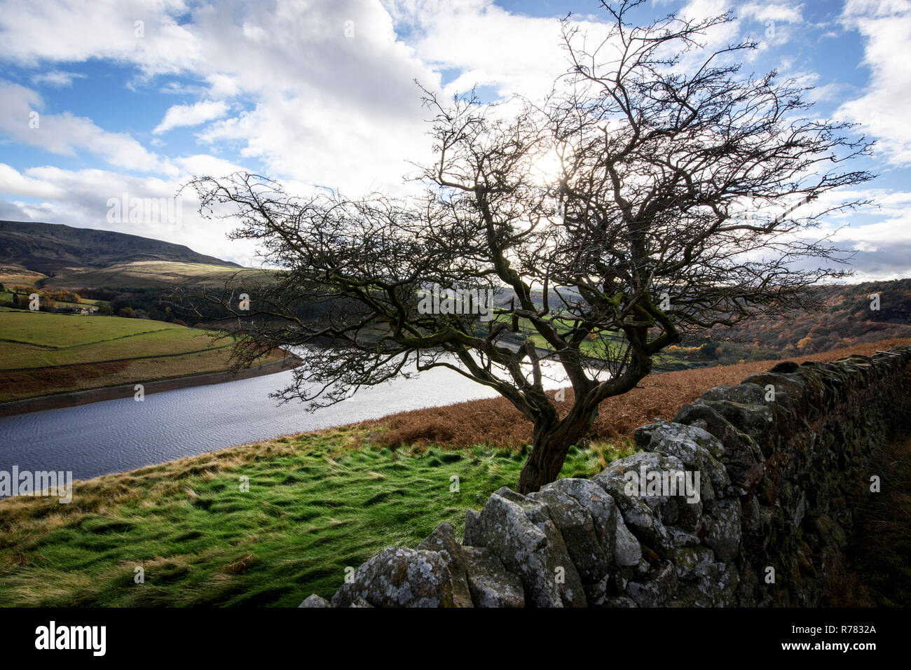 Kinder Reservoir, Cheshire, England. Stockfoto