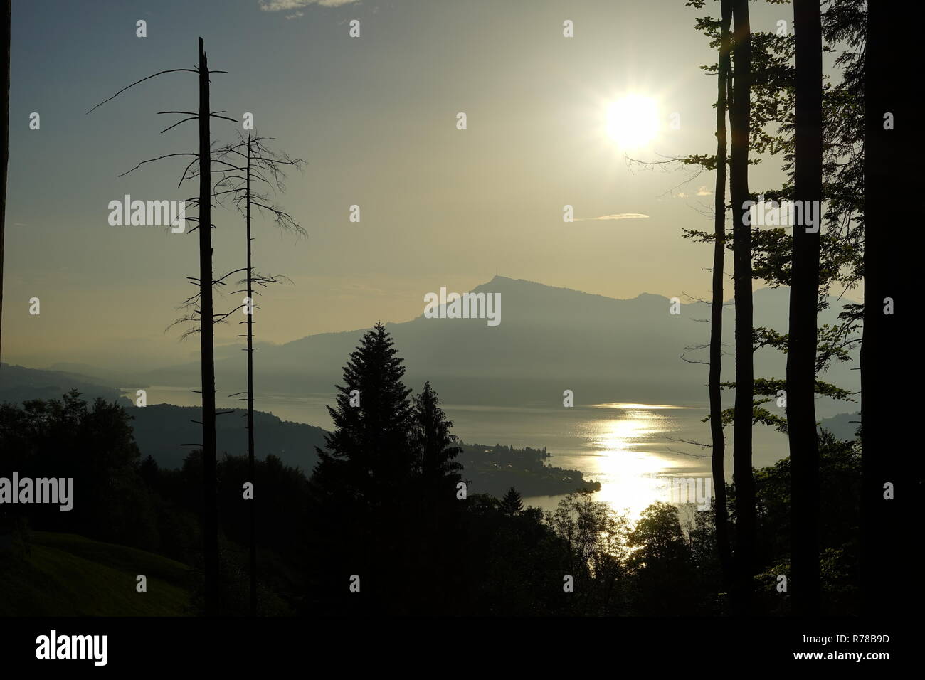 Die Sonne durch den Nebel über den Vierwaldstättersee Stockfoto Die Sonne durch den Nebel über den Vierwaldstättersee Stockfoto