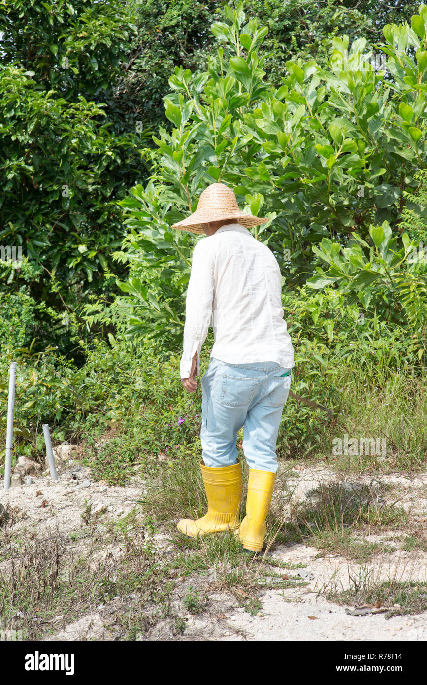 Landwirt clearing Land Stockfoto