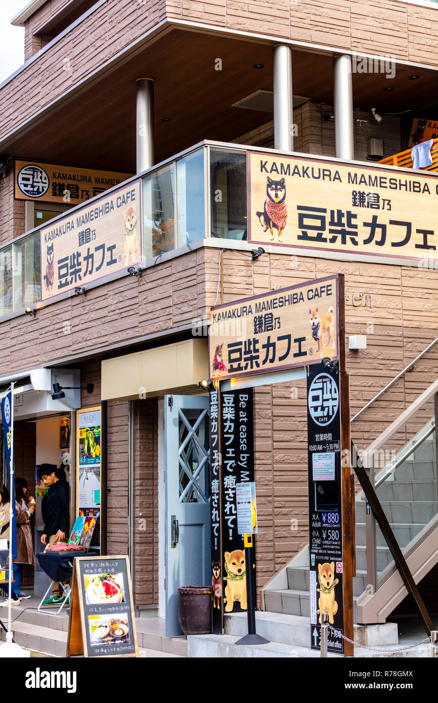 Kamakura, Kanagawa/Japan - 3. Dezember 2018: Kamakura Mameshiba Dog Cafe bei Komachi Dori Shopping Street Stockfoto