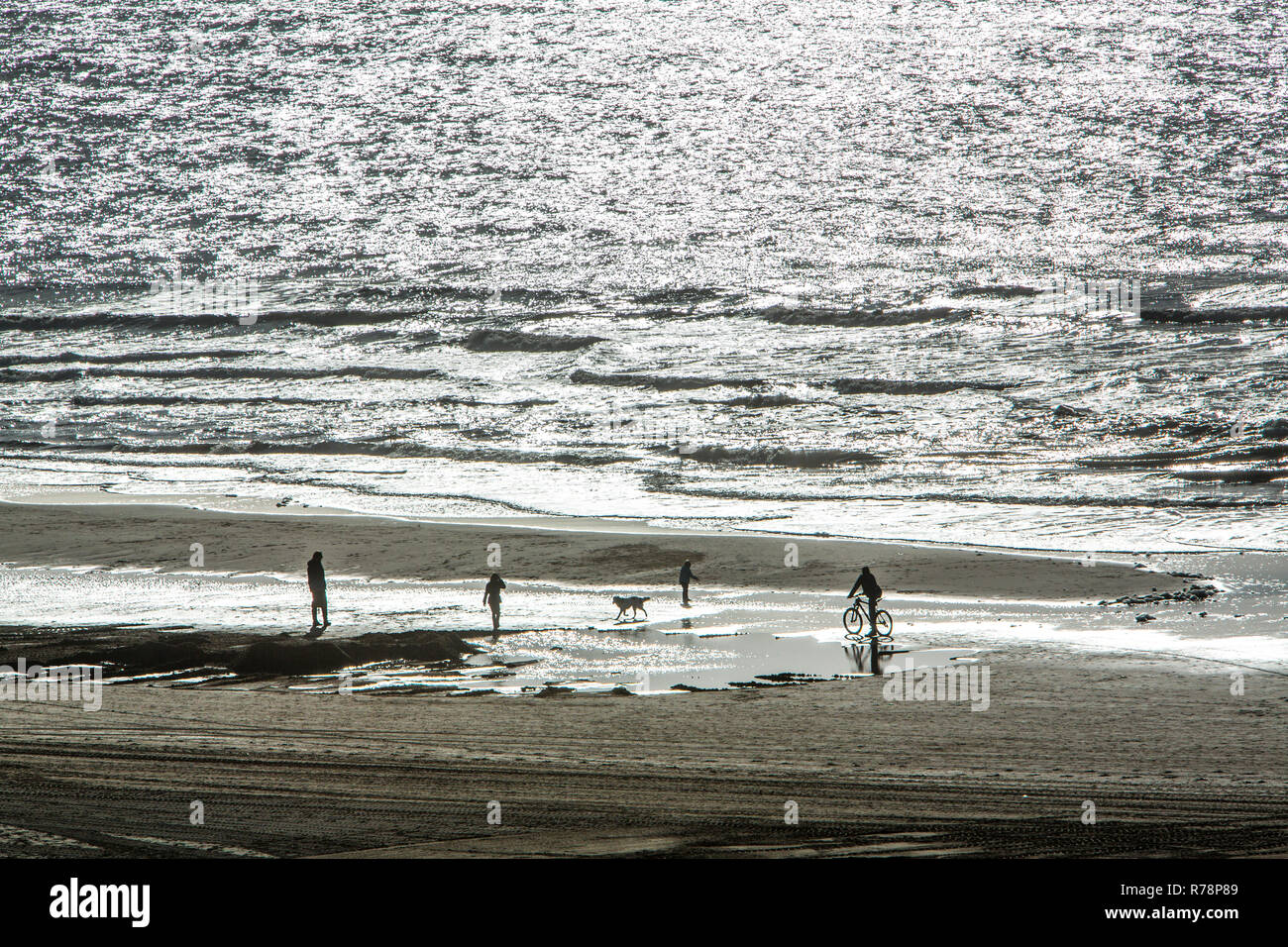 Menschen zu Fuß auf den Strand, Fahrrad, Hund, Egmond aan Zee, Nordholland, Niederlande Stockfoto