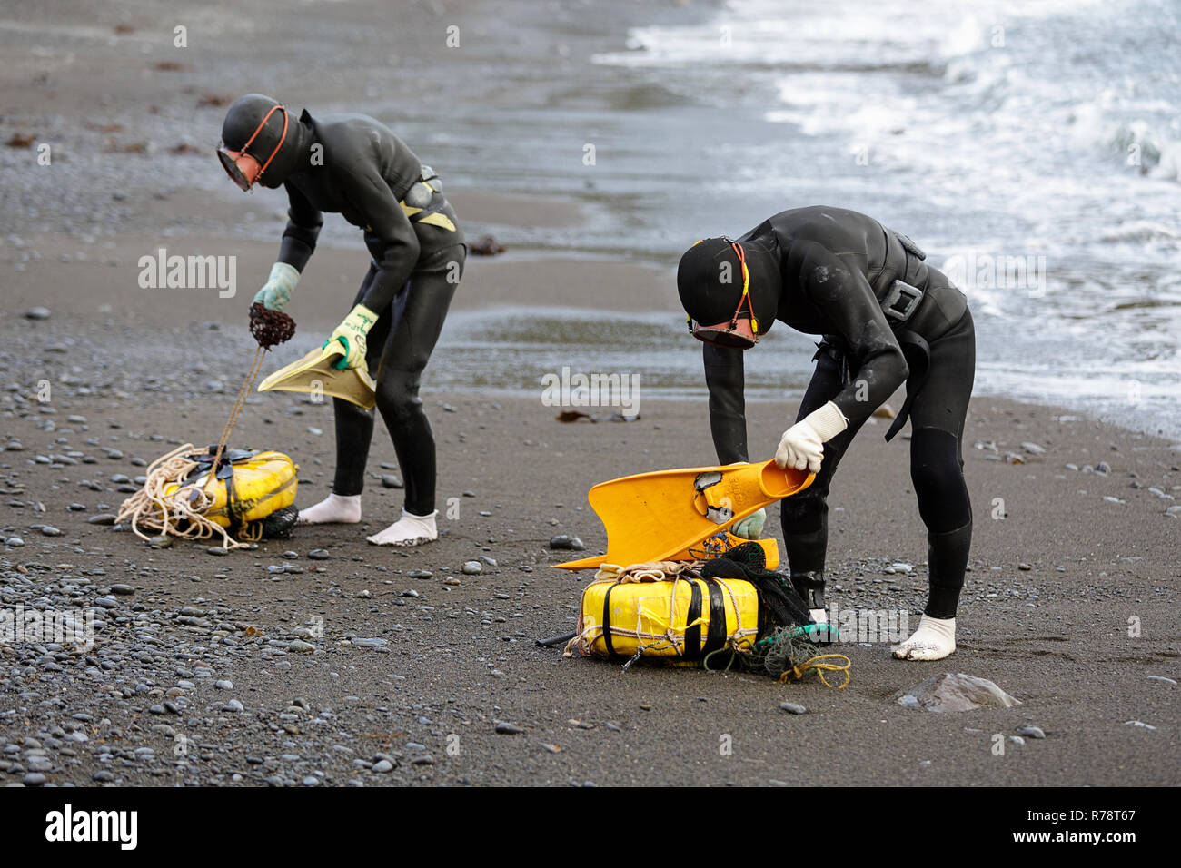 Ama divers Vorbereitung zum Tauchen auf einem Kieselstrand, Mie, Japan Stockfoto