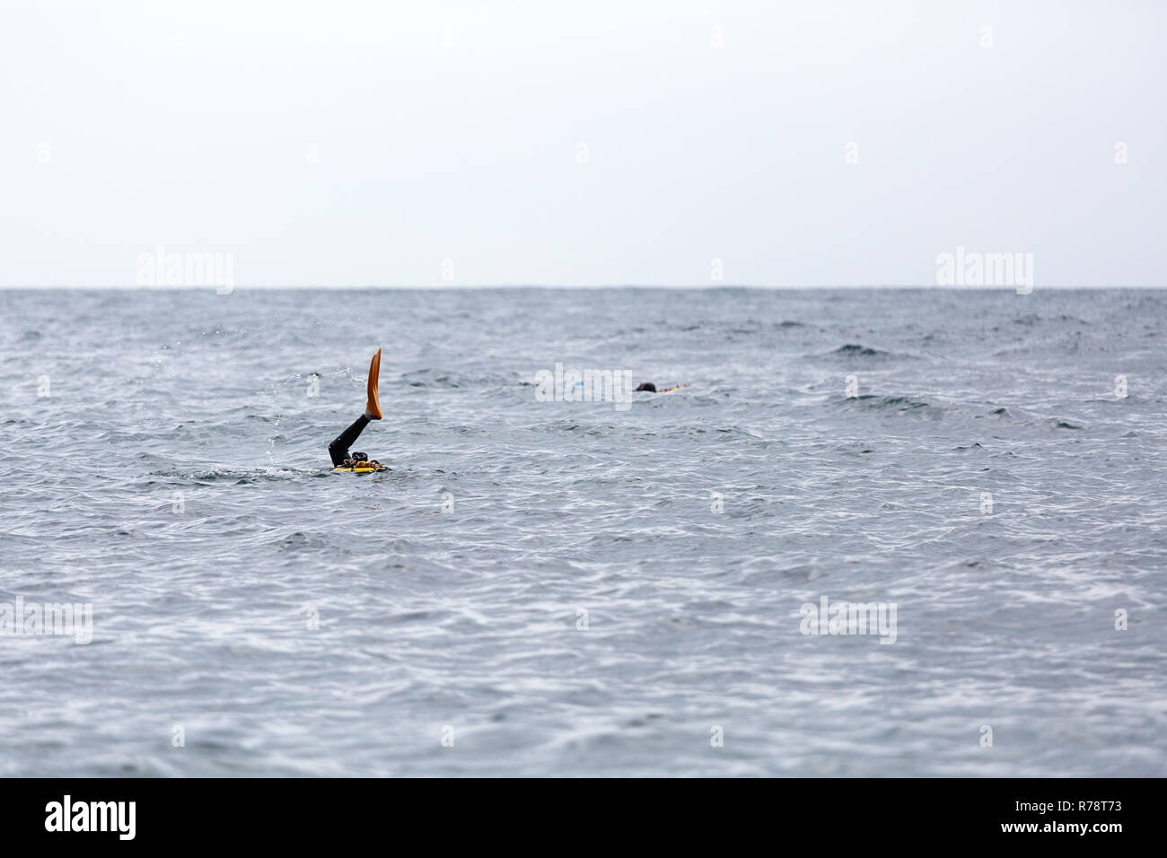 Die Beine Ama Taucher und Flossen aus dem Wasser, während Sie Tauchen im Meer, Mie, Japan Stockfoto