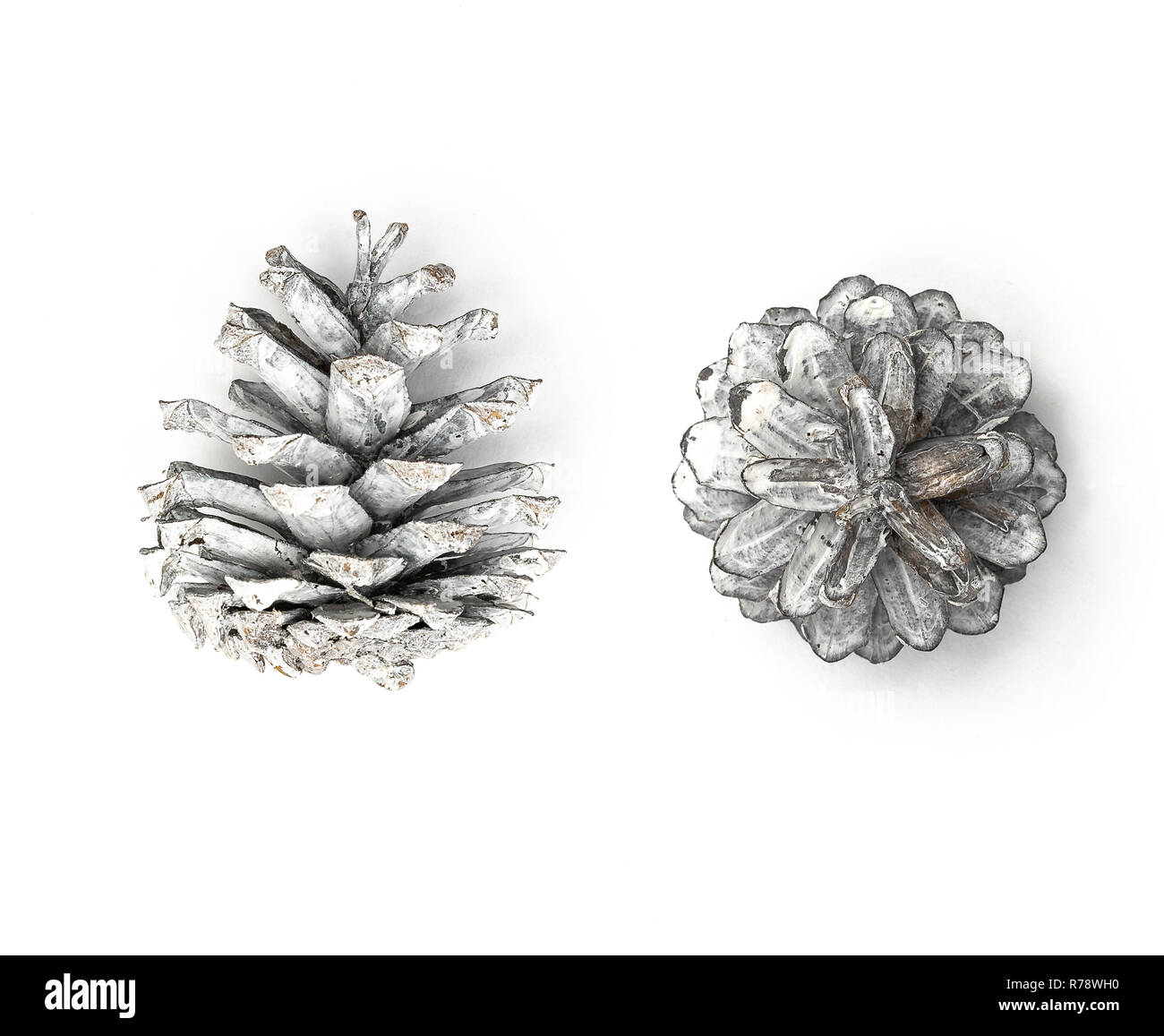 Weiß lackiert Pine Cone Weihnachten Dekoration isoliert Stockfoto