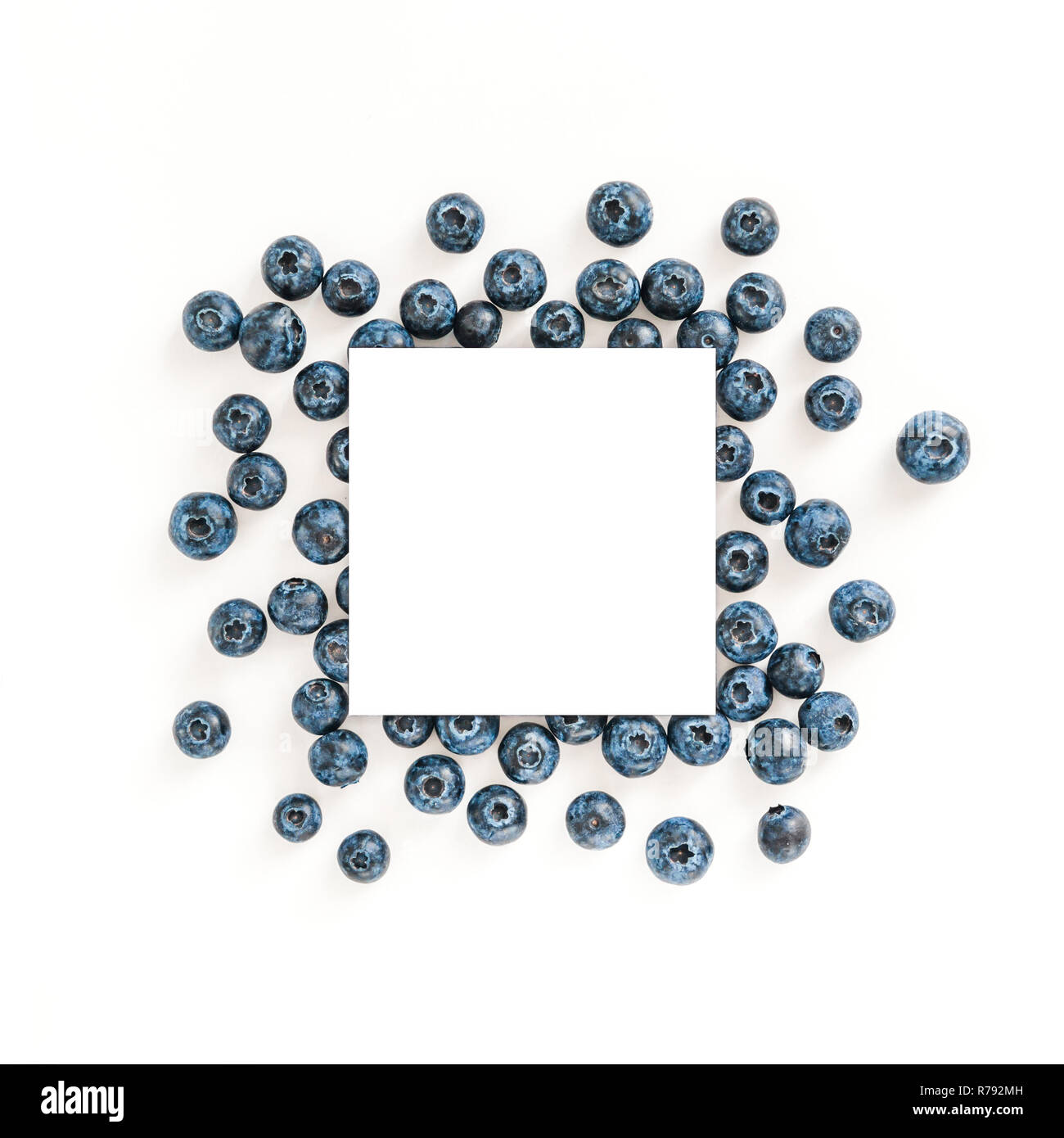 Blueberry isoliert auf Weiss mit weissen Kreis. Stockfoto