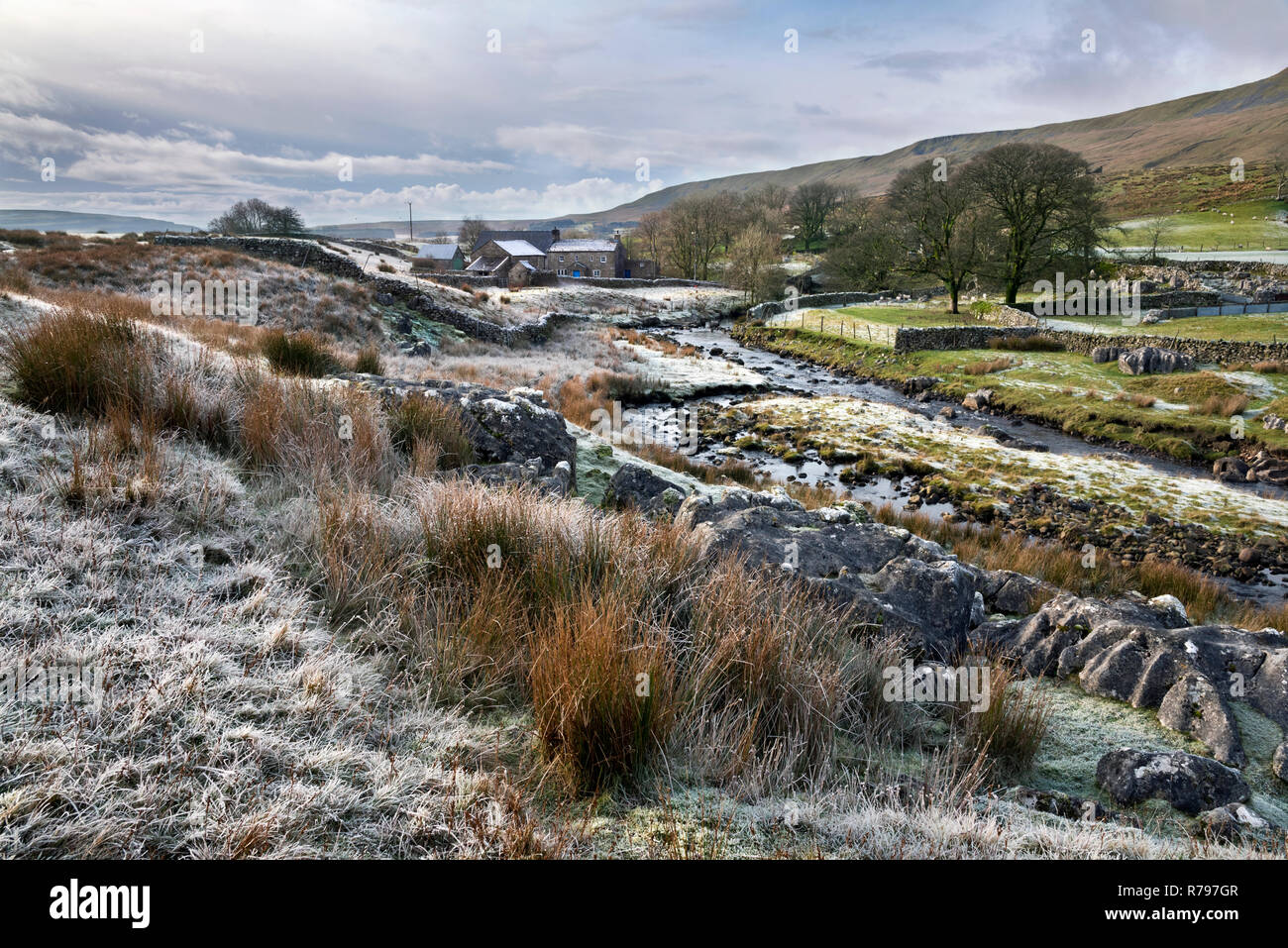 Am frühen Morgen frostige Landschaft, Winterscales, Ribblehead, Yorkshire Dales National Park Stockfoto
