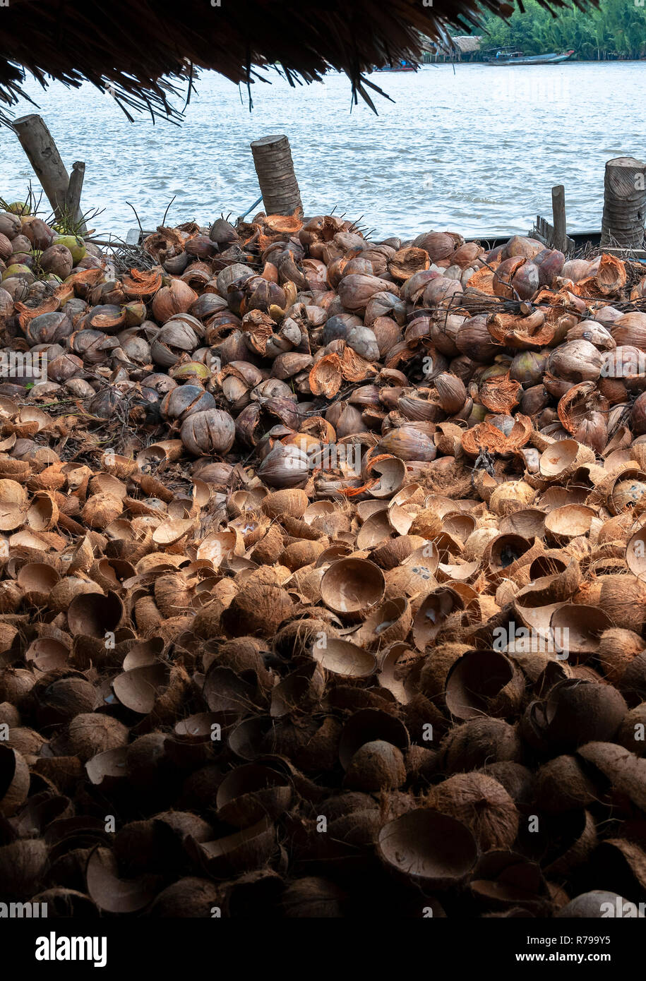 Haufen Kokosnussschalen am baumgesäumten Ufer des Cai Rang Flusses, Provinz Can Tho, Südvietnam Stockfoto