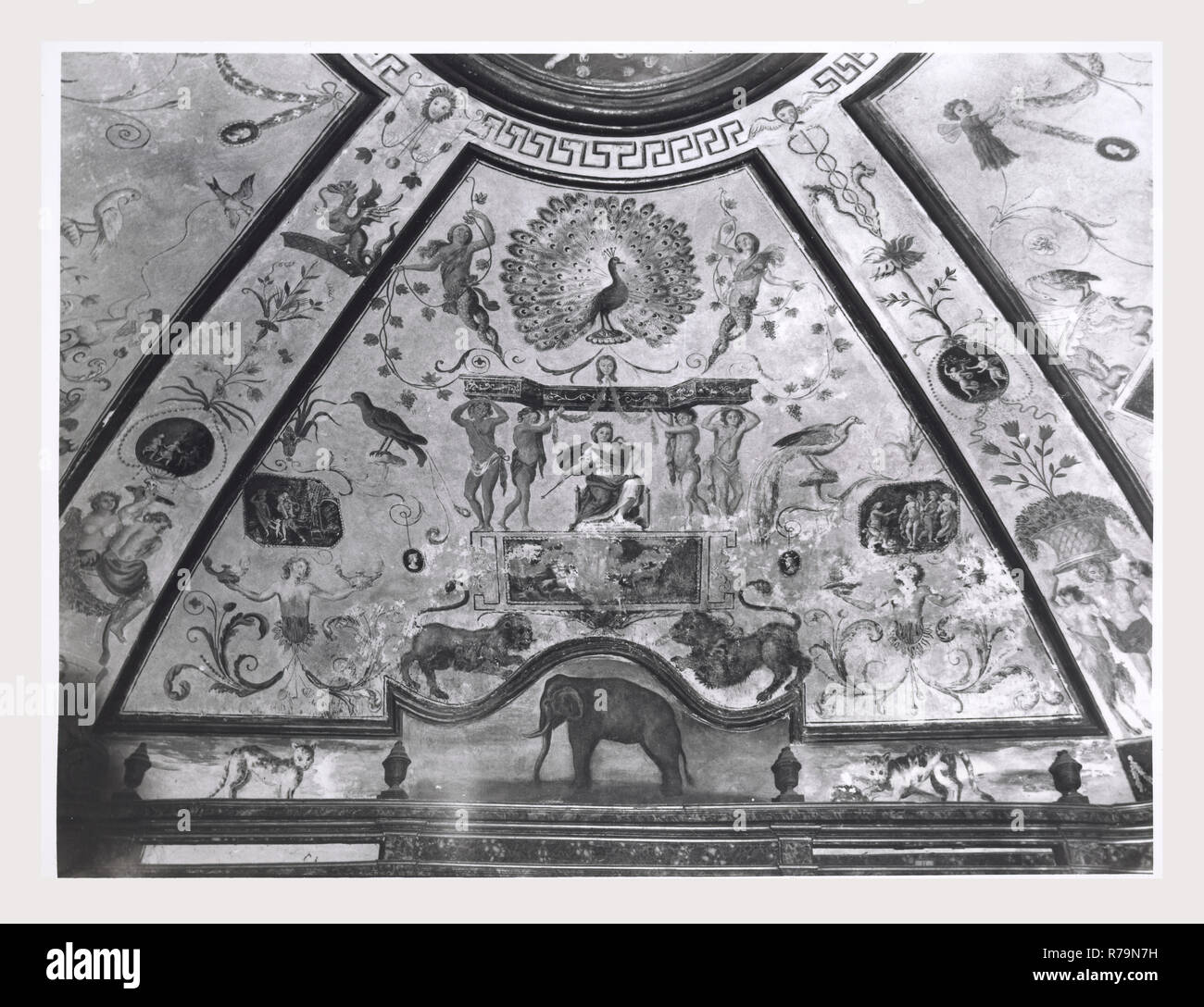 Latium Frosinone Certosa di Trisulti Certosa di Trisulti, Kloster Apotheke, dies ist mein Italien, die italienische Land der Geschichte, der Blick auf die Apotheke und zwei Empfang Zimmer anscheinend in der Apotheke. Stockfoto