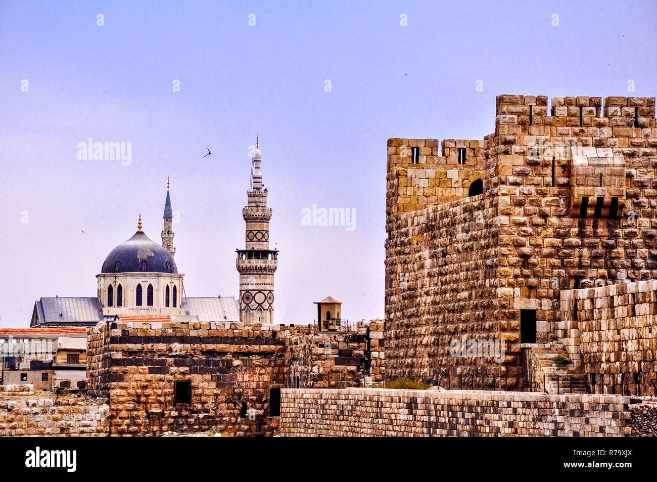 Große Omaijadenmoschee und das alte Schloss von Damaskus Syrien Stockfoto