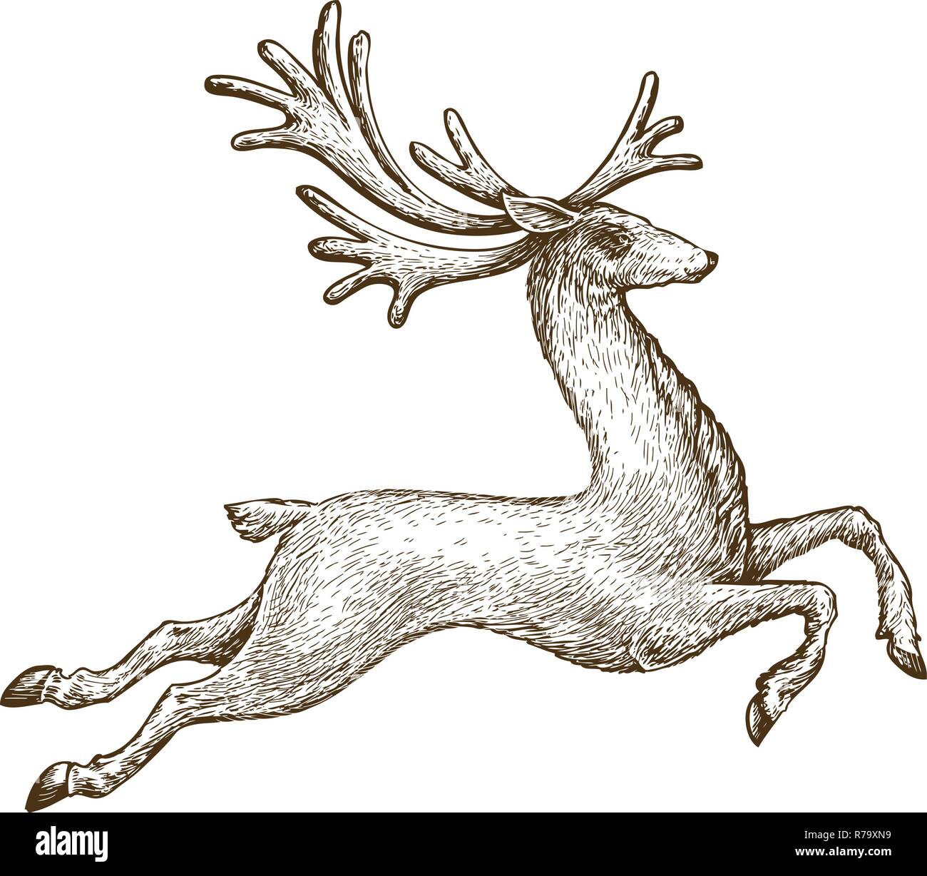 Laufender Hirsch. Gezeichnet vintage Skizze Vector Illustration Stock Vektor