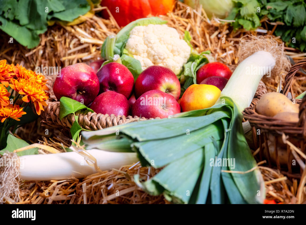 Obst und Gemüse für Thanksgiving Stockfoto