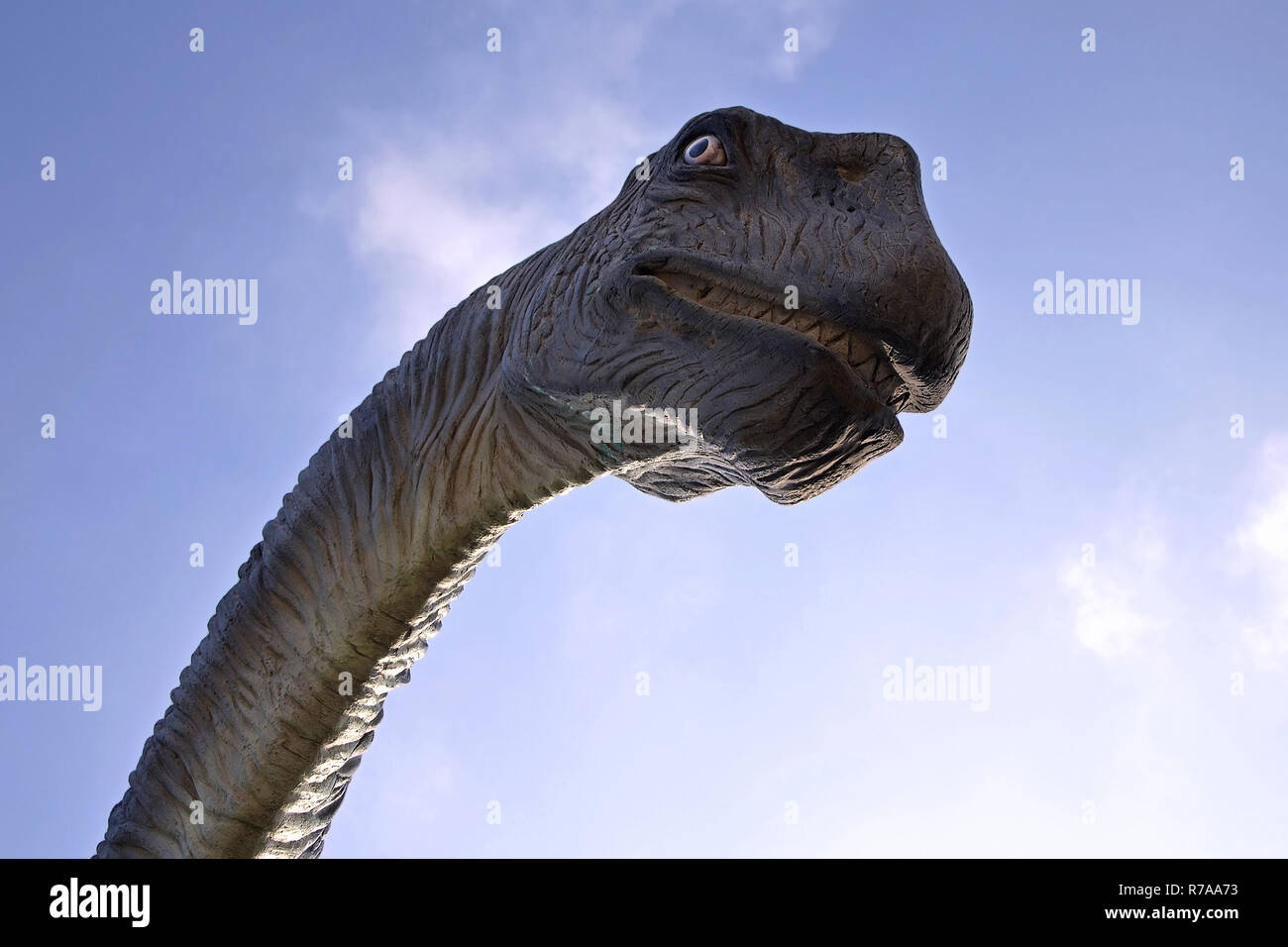Dinosaurier gegen den blauen Himmel Stockfoto