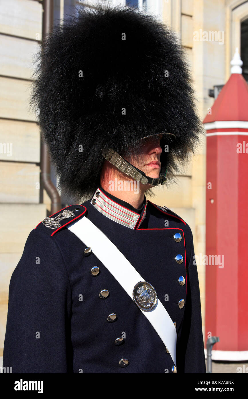 Eine königliche Leibgarde der dänischen Monarchie mit einer Bärenfellmütze Kappe auf Pflicht vor seinem wachekasten außerhalb Schloss Amalienborg in Kopenhagen, Dänemark. Stockfoto