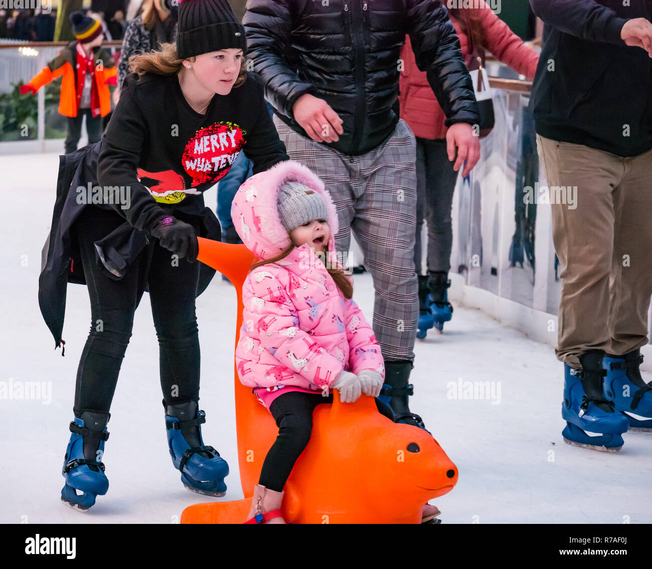 Edinburgh, Schottland, Großbritannien, 8. November 2018. Weihnachtsfeiern: Familien genießen die Eislaufbahn in den St. Andrew Square Gardens. Ein Kind wird auf eine Robbeneishilfe geschoben Stockfoto