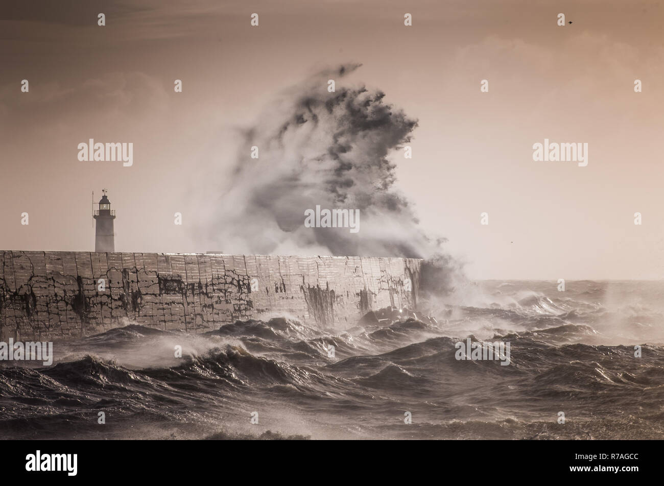 Newhaven, East Sussex, UK.8. Dezember 2018..Fortfahrend starker Westwind von Sonnenaufgang und den ganzen Tag über peitscht die Wellen hoch und schafft einige spektakuläre Szenen an der Südküste. Stockfoto