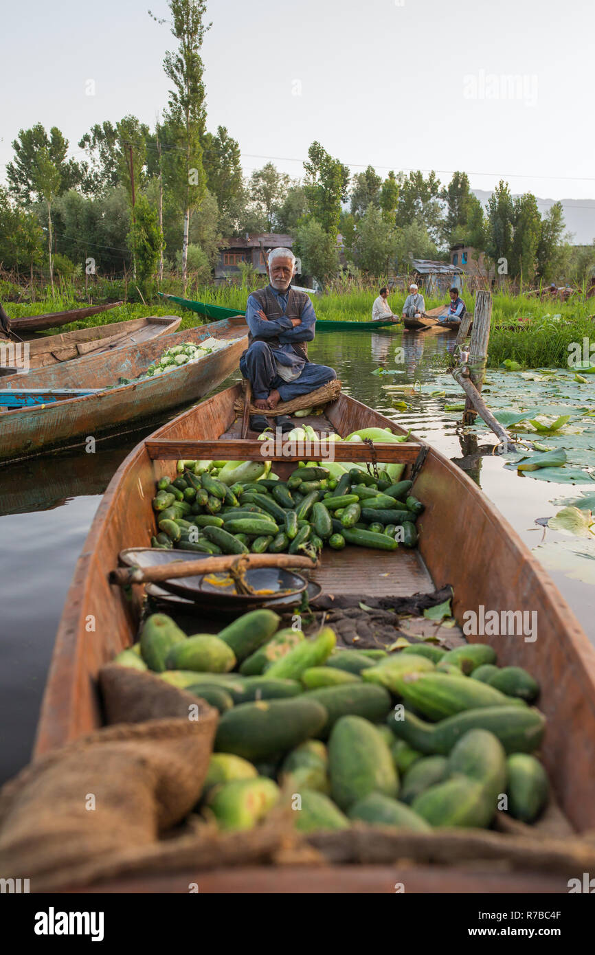 Srinagar, Indien - 16. Juni 2017: Unbekannter Gemüse Verkäufer, die ihre Produkte auf dem schwimmenden Markt in den frühen Morgenstunden am Dal Lake in Srina Stockfoto Srinagar, Indien - 16. Juni 2017: Unbekannter Gemüse Verkäufer, die ihre Produkte auf dem schwimmenden Markt in den frühen Morgenstunden am Dal Lake in Srina Stockfoto