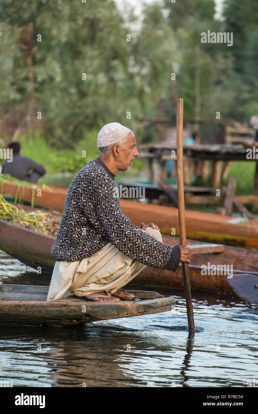 Srinagar, Indien - 16. Juni 2017: Unbekannter Gemüse Verkäufer, die ihre Produkte auf dem schwimmenden Markt in den frühen Morgenstunden am Dal Lake in Srina Stockfoto Srinagar, Indien - 16. Juni 2017: Unbekannter Gemüse Verkäufer, die ihre Produkte auf dem schwimmenden Markt in den frühen Morgenstunden am Dal Lake in Srina Stockfoto