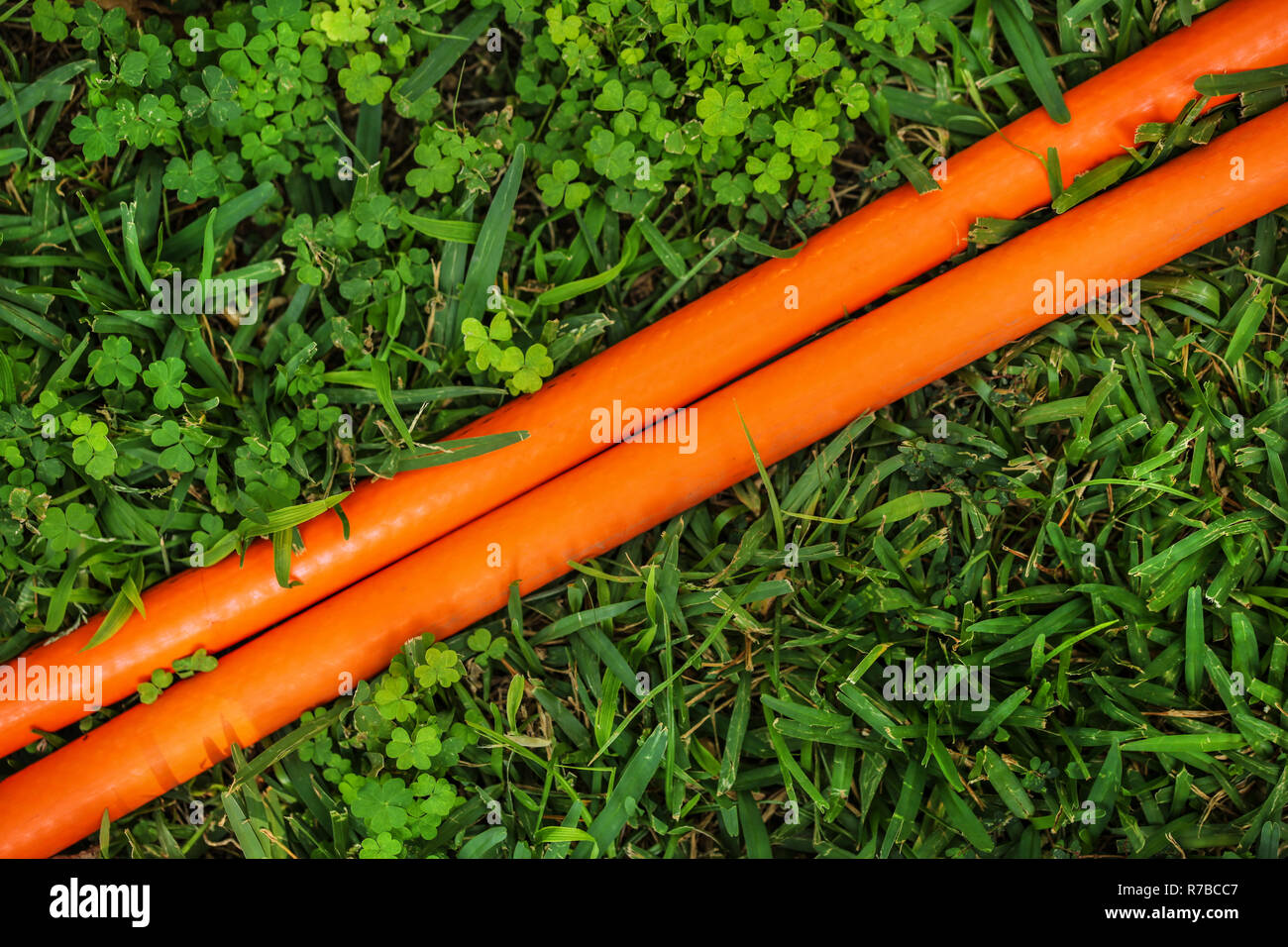 Helles orange Schlauch (zwei Zeilen) in grüne Wiese laufen diagonal. Blick von oben. Abstrakte Gartenarbeit Hintergrund. Stockfoto