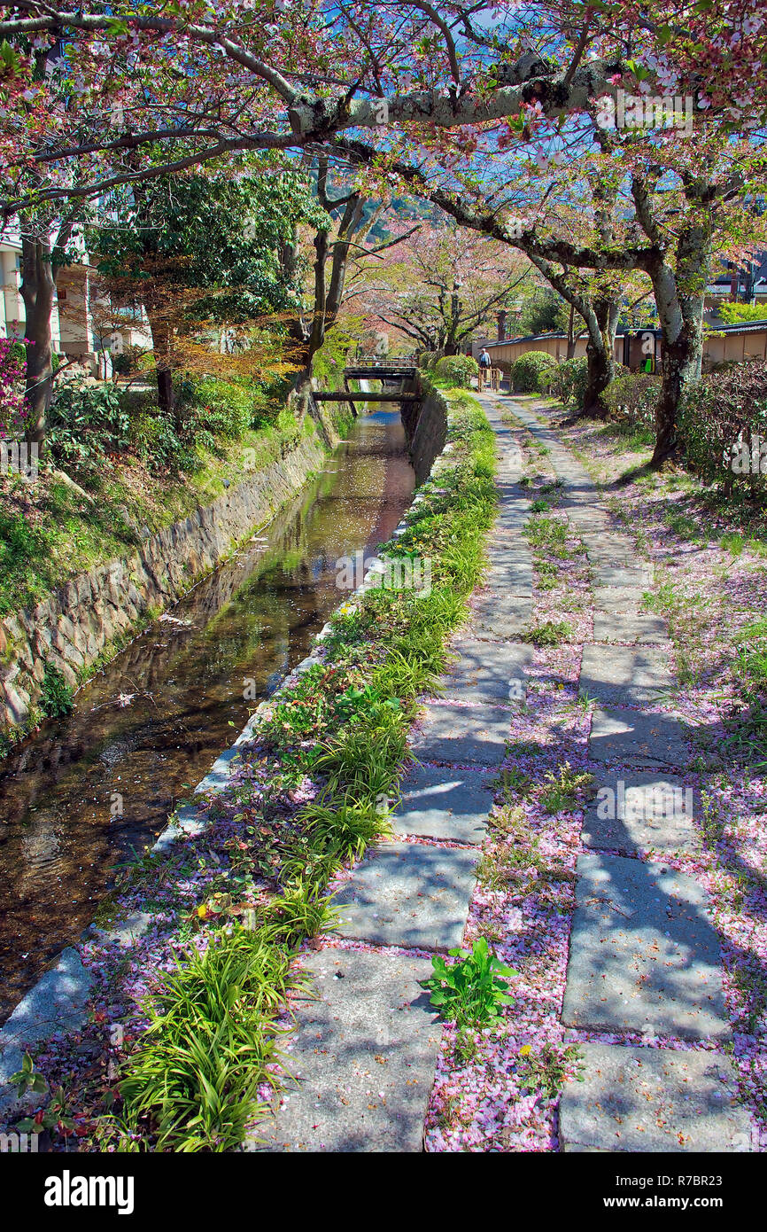 Ehemalige Hauptstadt von Japan, Kyoto ist berühmt für seine Tempel und Schreine Stockfoto