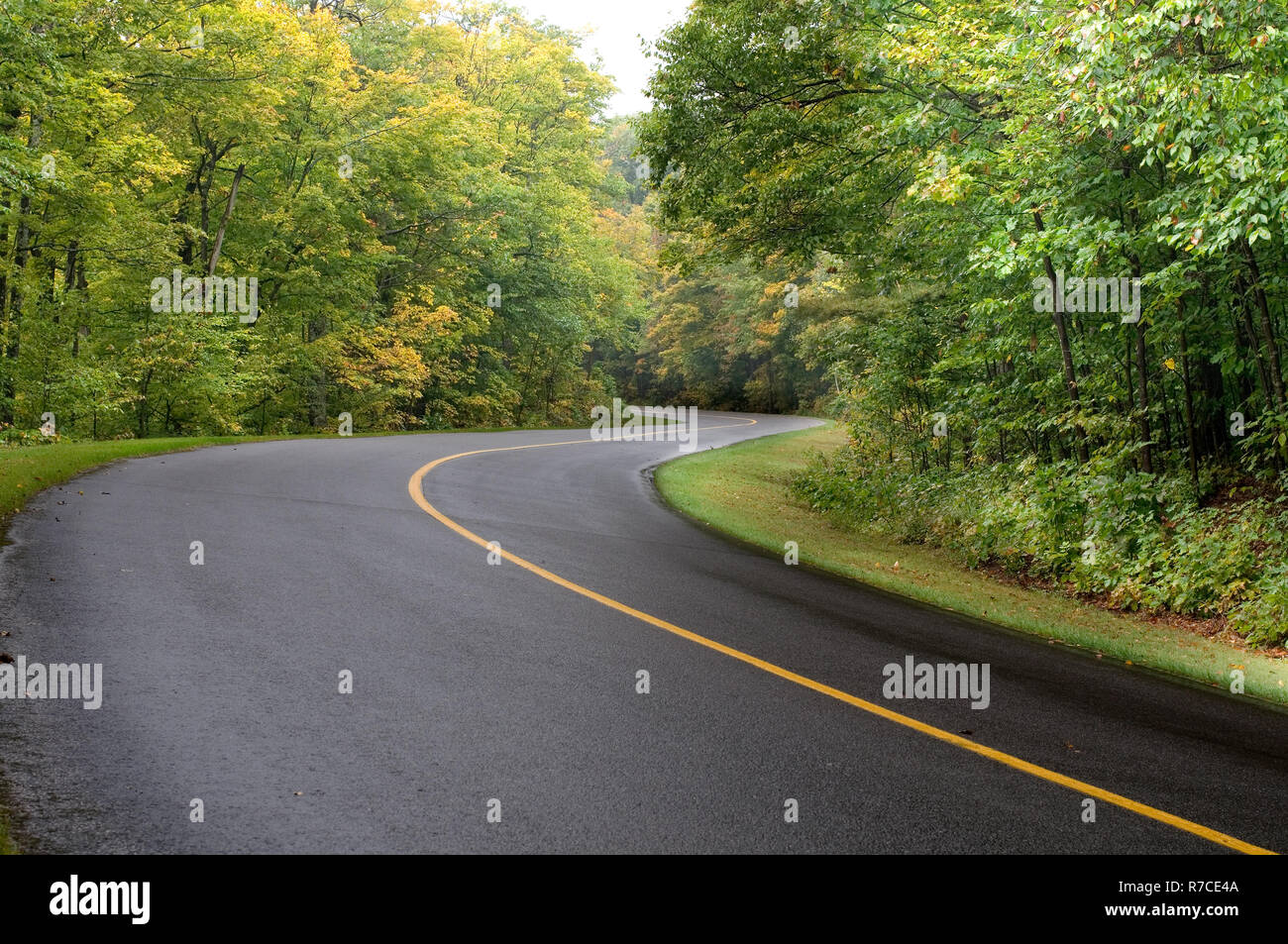 Geschwungene Straße im Gatineau Park im kanadischen Quebec Stockfoto