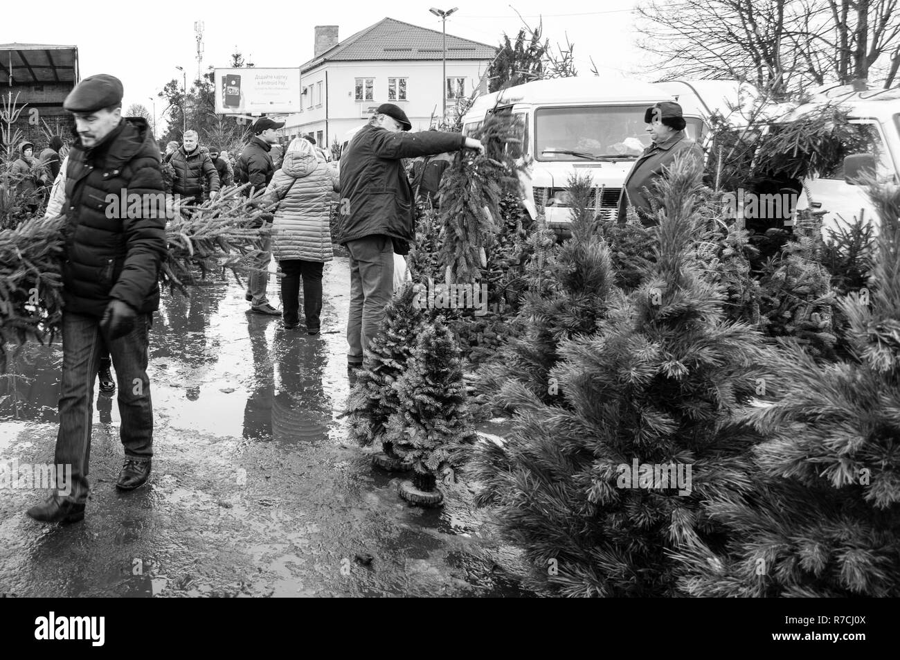 Lemberg, Ukraine - Dezember 31, 2018: Die Menschen kaufen ein Weihnachtsbaum für die Parteien vereinbaren, um das Neue Jahr zu feiern. Stockfoto