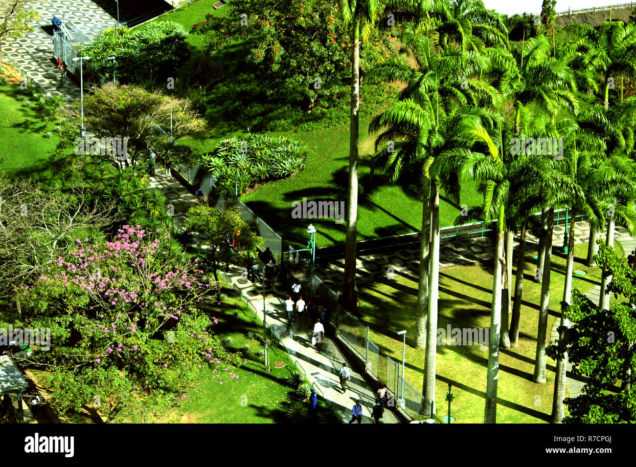 BNDES Gebäude Garten, Rio de Janeiro, landschaftsbau von Roberto Burle Marx Stockfoto