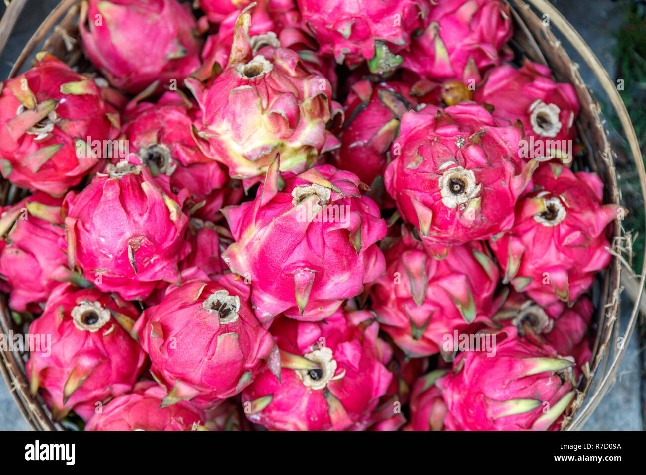 Korb der rote Drache Obst oder pitaya am lokalen Markt, Bali, Indonesien Stockfoto