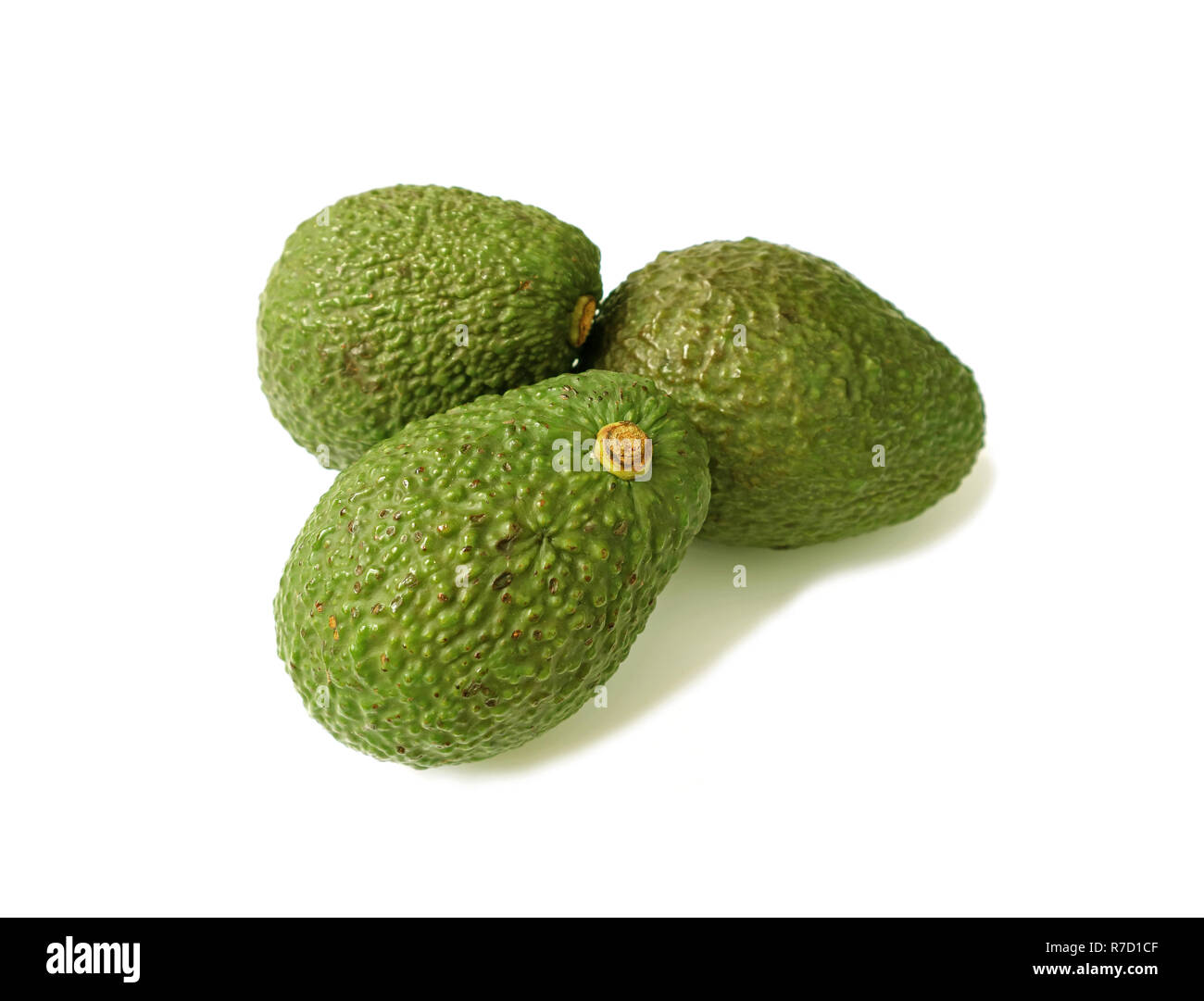 Geschlossen bis Drei grüne Holprigen hass Avocado ganze Früchte isoliert auf weißem Hintergrund Stockfoto