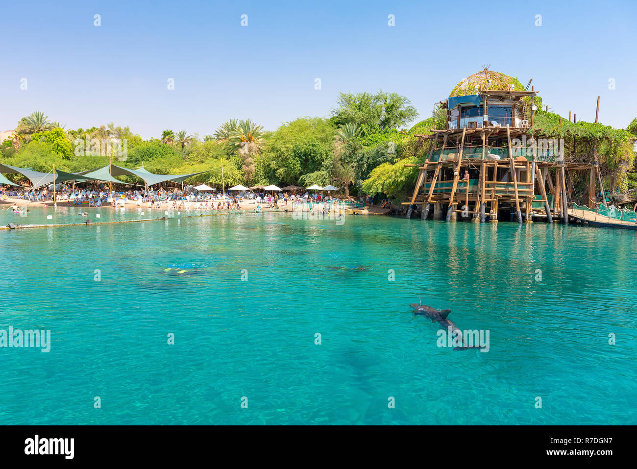 Eilat, Israel; 13 Sep 2020 - Dolphin Reef ist die Heimat einer bunten Auswahl an tropischen Fischen und, was am wichtigsten ist, einer Schule von Flaschendelfinen. Stockfoto