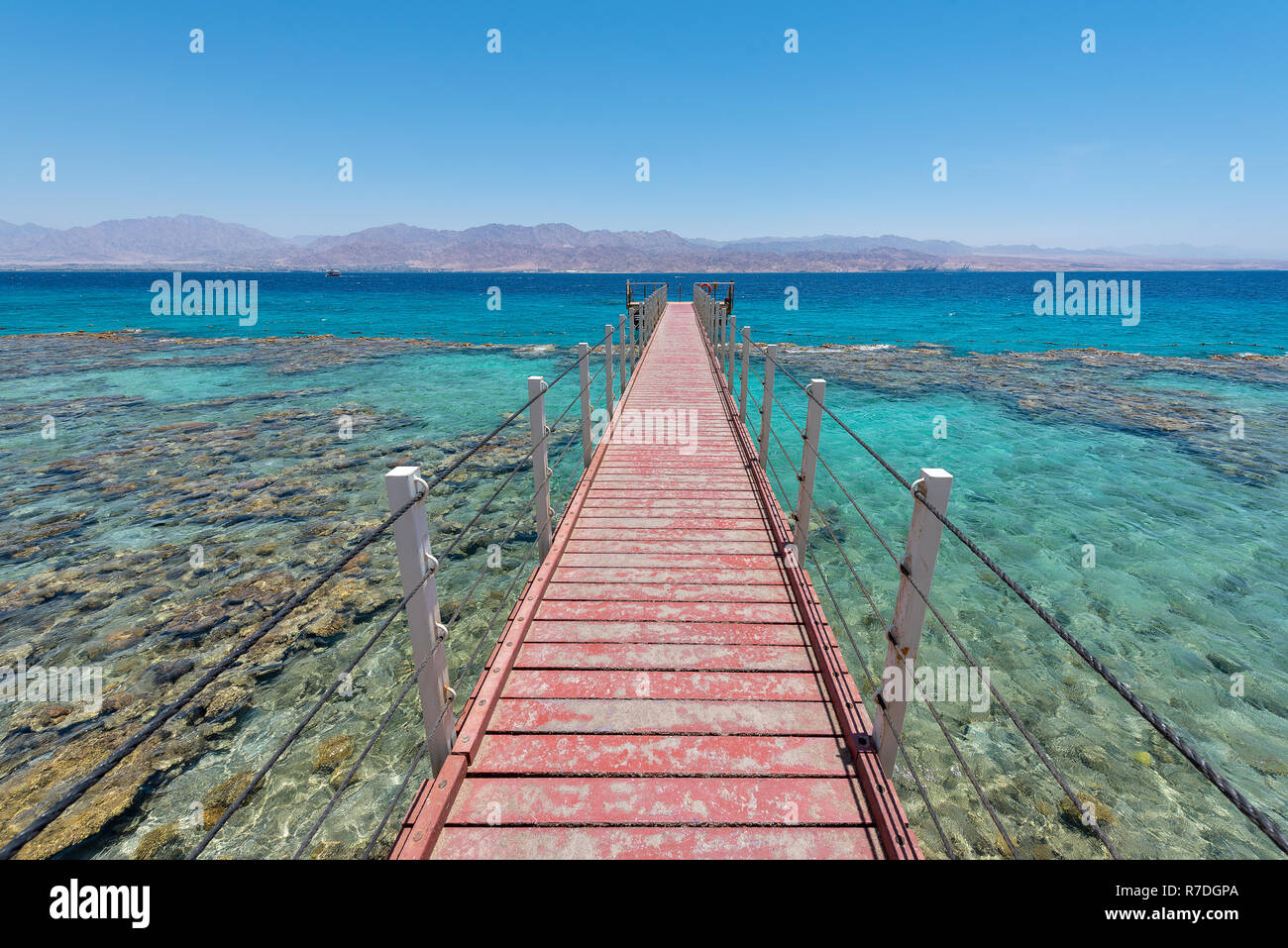 Eilat, Israel; nahe der ägyptischen Grenze gelegen, ist die Erhaltung der Korallenriffe der Hauptgrund für die Schaffung dieser Nation Stockfoto