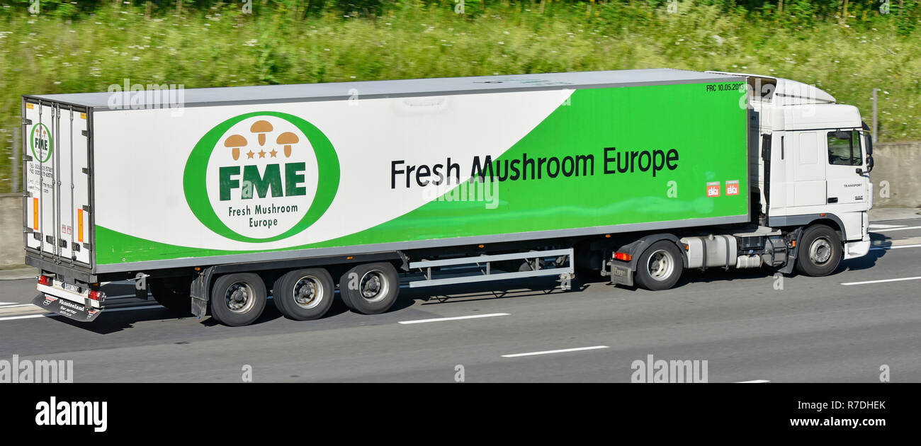 Belgien Frische Pilze Europa Food Supply chain Trailer & LKW LKW LKW-Lieferung von essbaren FME Pilze entlang der Autobahn M25 England Großbritannien Stockfoto