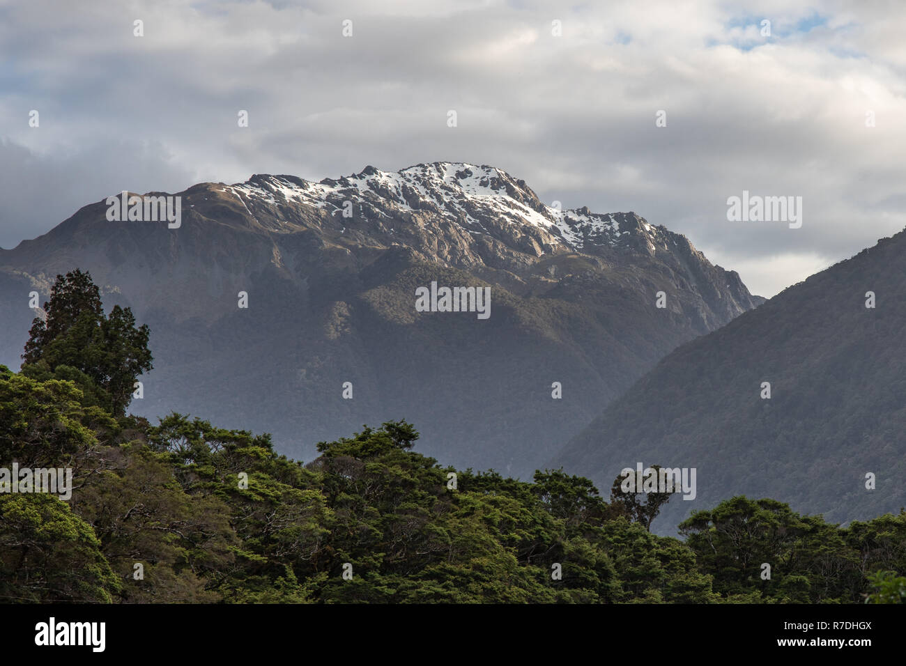 Fjordland National Park, Neuseeland Stockfoto