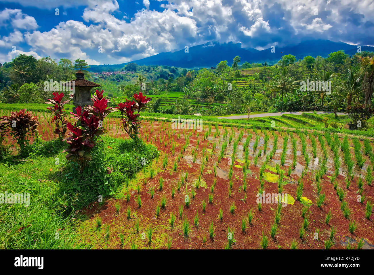Schönen Bali, Indonesien Stockfoto