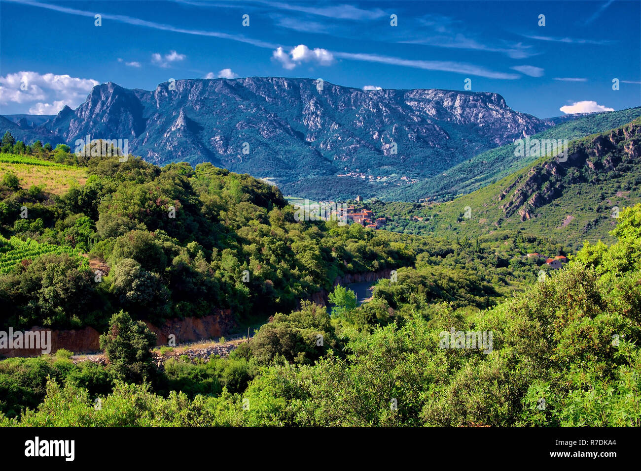 Region Languedoc Frankreichs im Sommer Stockfoto