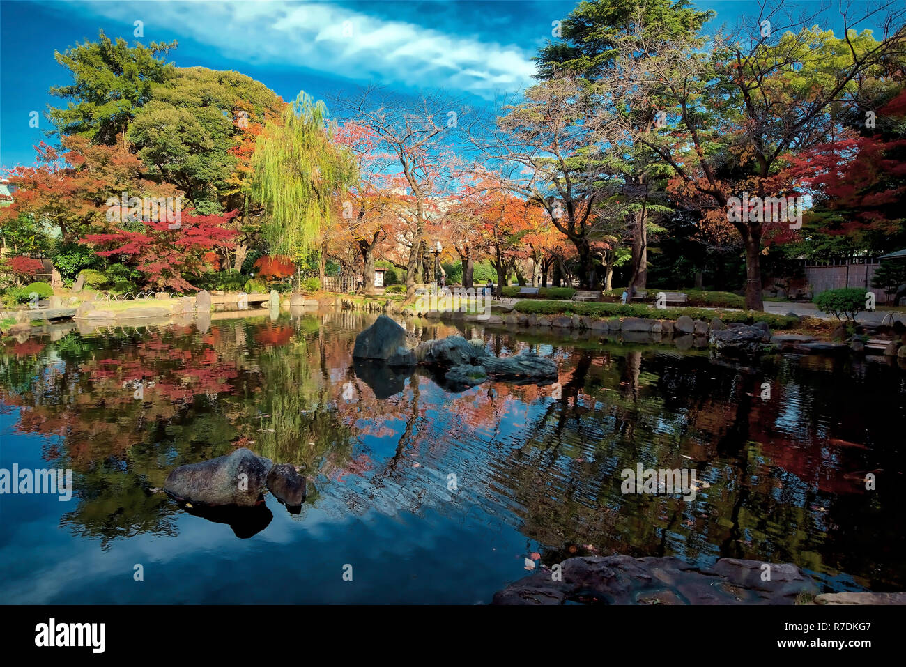 Japanische Ahorne biegen Sie Farbe in Tokyo Japan Stockfoto
