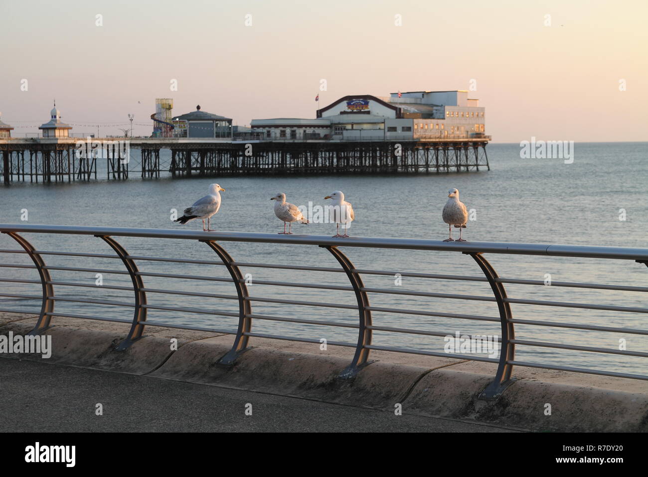 North Pier in Blackpool England Großbritannien Stockfoto