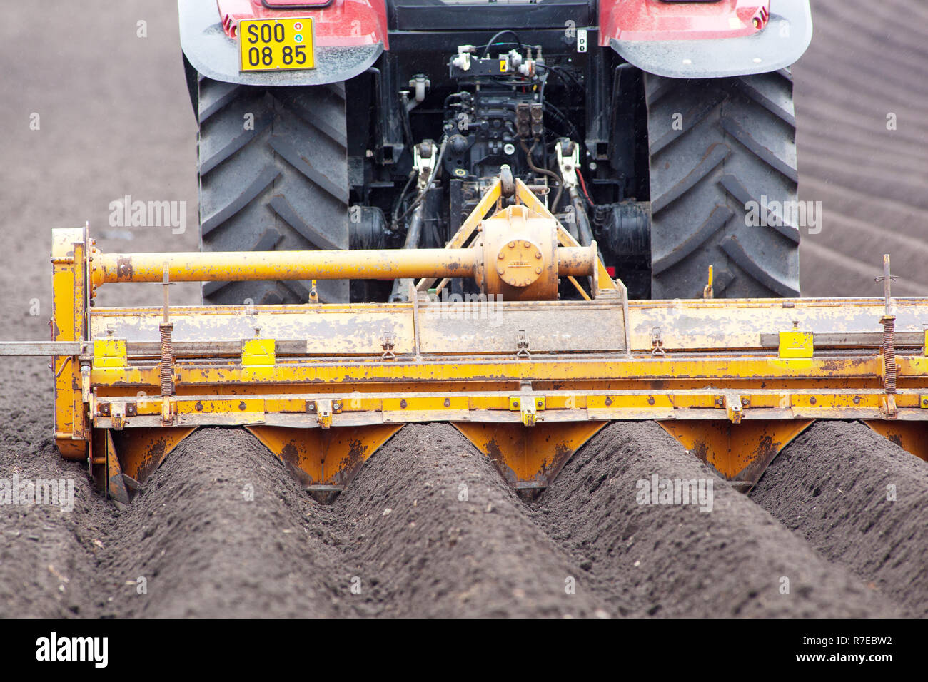 Kartoffeln anpflanzen, die Kartoffelproduktion, Traktor Zeilen Stockfoto