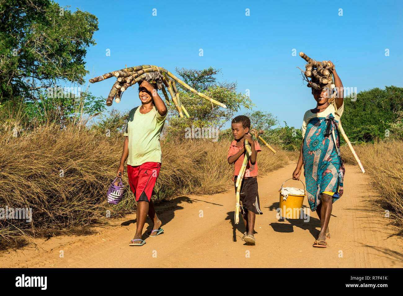 Zwei madagassische Frauen und einem Jungen gehen auf die Straße und die Zuckerrohr auf ihre Köpfe, Bekopaka, Majunga Provinz, Madagaskar Stockfoto